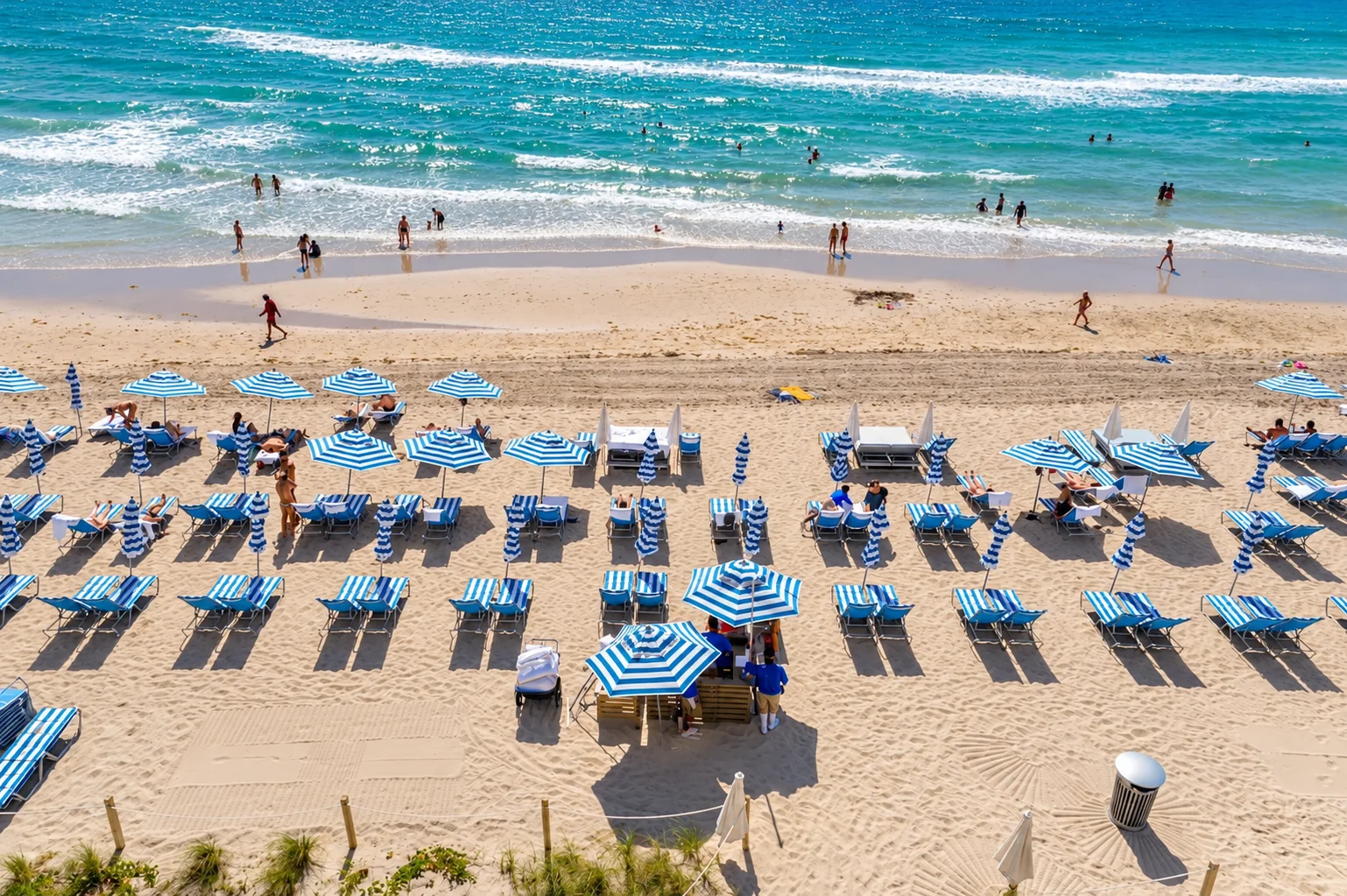 Servicio de playa: reposeras y sombrillas / Beach service: lounge chairs and umbrellas